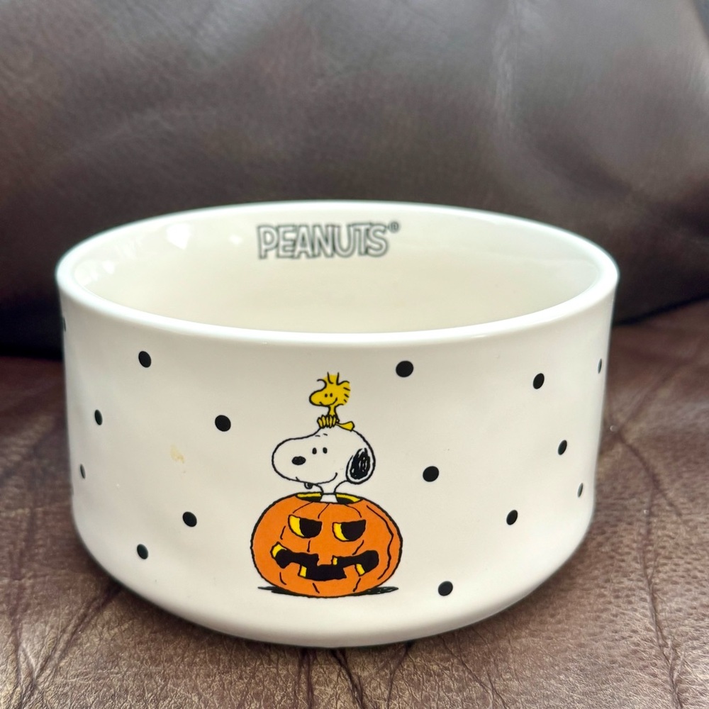SPOOKTACULAR Snoopy & Woodstock Halloween Pet Food Bowl - Rae Dunn Peanuts
